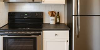 Creekside Canopy Gallery 4