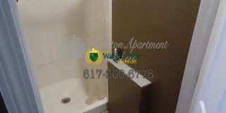 86 Linden St. Gallery 4