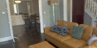 41 Dove st, Gallery 20