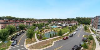 3533 BELLFLOWER LN Gallery 38