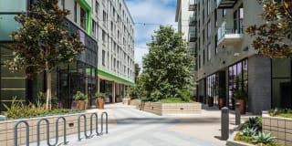 MacArthur Commons Gallery 5