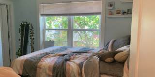 1609 Sydenham Gallery 19