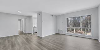 Reston Glade Gallery 6