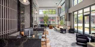 AMLI Brookhaven Apartments Gallery 28