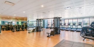 Avalon Clinton Avalon Clinton Gallery 21