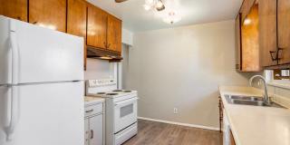 Great house near UCCS with 2x kitchen and 2x laundry! Gallery 16