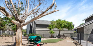 Allanza at the Lakes Gallery 19