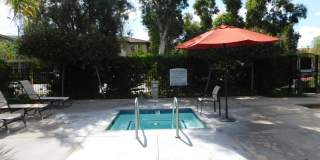 Beautiful 4 bed, 2.5 bath unit in Orange. Gallery 31