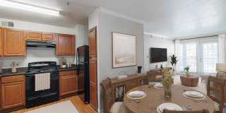 Medical Center Gallery 8