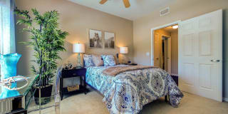 Callista Hill Country Apartments Gallery 11