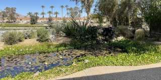 60189 Poinsettia Place Gallery 34