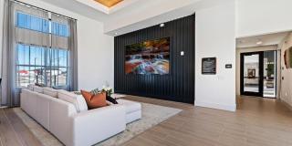 The Jaxon Gallery 33