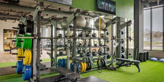 J Optimist Park Gallery 35