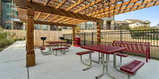 Bellwether Ridge Gallery 26