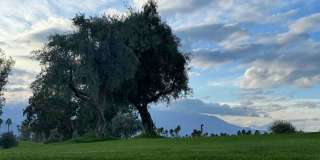 187 Desert Falls Cir Gallery 32