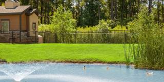 Paladin Apartments Gallery 5