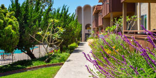 Volterra at La Mesa Gallery 91