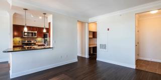 Quarry Hills Gallery 67