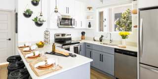 Onyx at Westgate Gallery 11