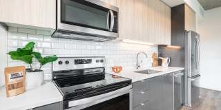 The Rodney Gallery 19