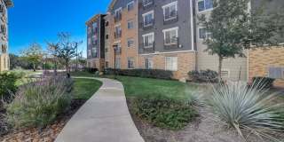 Simplicity at the Rim Gallery 24