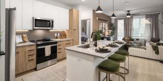 Solis Peachtree Corners Gallery 37