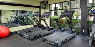 Avalon Studio City Gallery 23