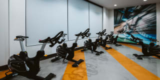 44 Washington Gallery 74