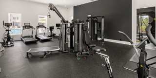 Cadence at Cates Creek Gallery 15