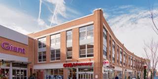 The Elaine Gallery 10