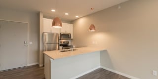 300 Lime Gallery 3