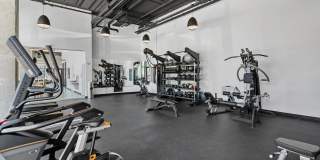 The Olive The Olive Gallery 9