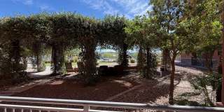 12625 N SAGUARO Boulevard Gallery 16