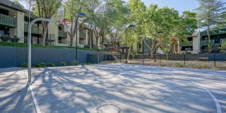 Treehouse Apartments Gallery 57