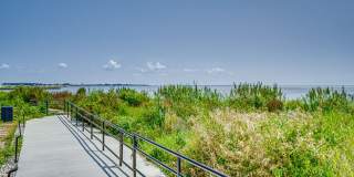 The Shores of Lake St. Clair Gallery 17