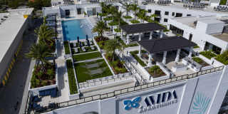 Avida Aventura Gallery 29