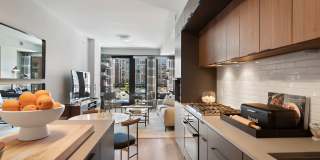 Tribeca Noma Gallery 16