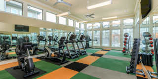 Eight 99 at Hazelwood Gallery 12