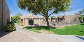 5525 East Thomas Road Gallery 16