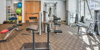 The Grand Gallery 99