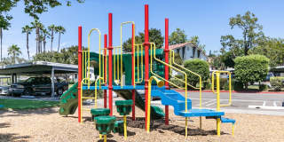 Las Ventanas Gallery 25