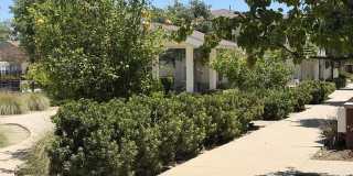 11139 Snapdragon Street Gallery 33