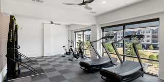 Cortland at Stonebriar Gallery 15