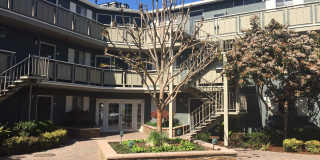Pinebrook Apartments Gallery 10