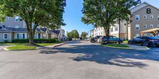 AVIA North Shore Gallery 23