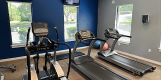 Goldelm at Cedar Bluff Gallery 10