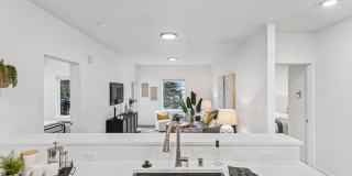 The Oliveen Gallery 44