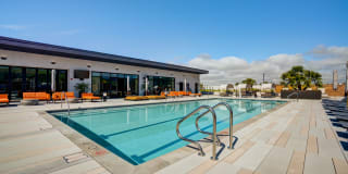 The Asher Gallery 24