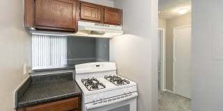 Netherley Park Gallery 12