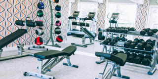 Skyline at Barton Creek Skyline at Barton Creek Gallery 15